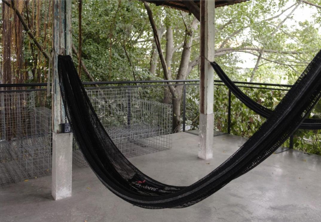 Belakang Kong Heng Aparthotel Ipoh